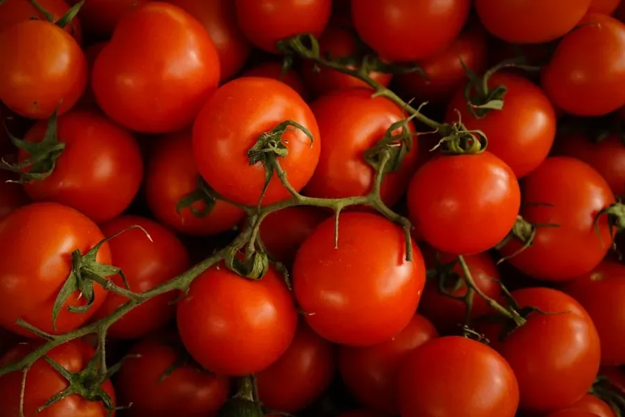 Natürel Sızma Zeytin 18kg